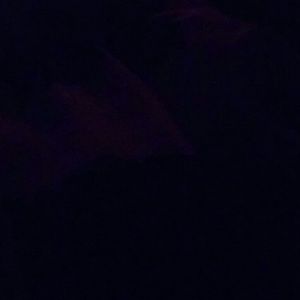 Meet your Posher, Kylee