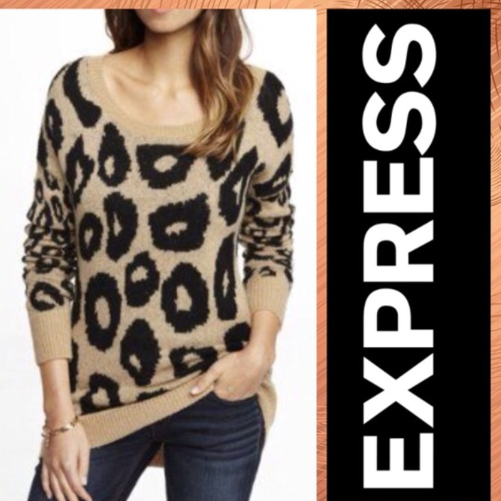 Express Leopard Print Sweater