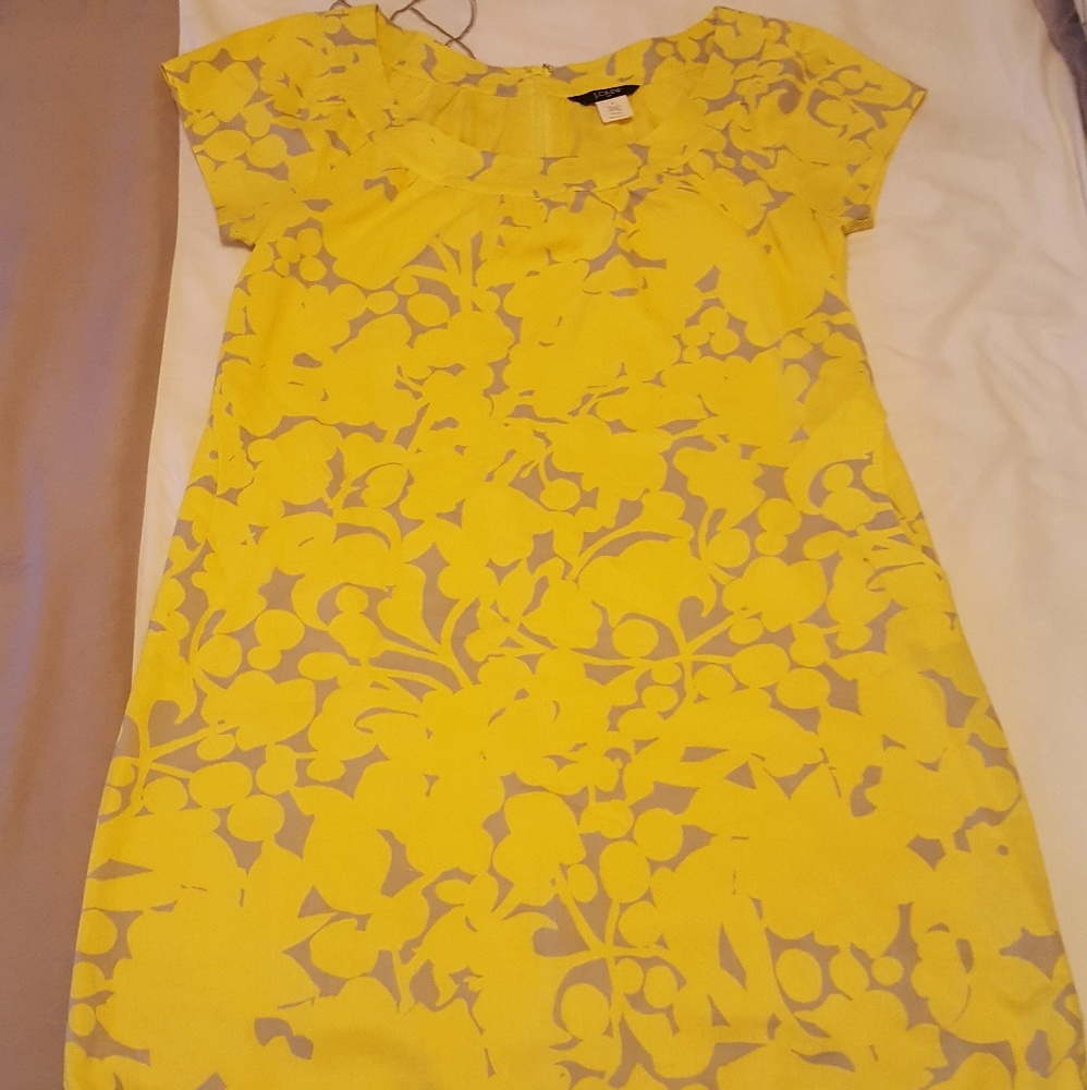 J.crew above the knee length dress.