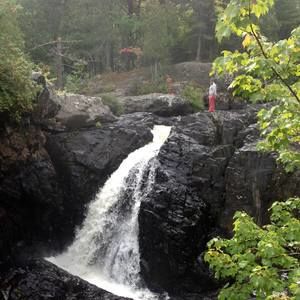 Meet your Posher, Teddy