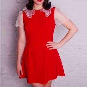 NWT Kenley Collins of Project Runway Amber Dress