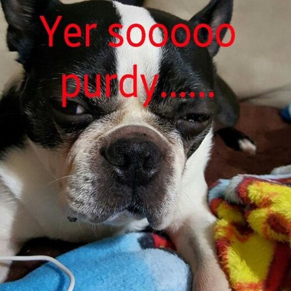 Meet your Posher, Megan