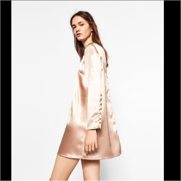 Zara Dresses & Skirts - Dress