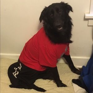 Meet your Posher, Scott