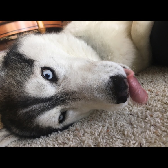 Meet your Posher, Ravneet - Picture 1 of 1