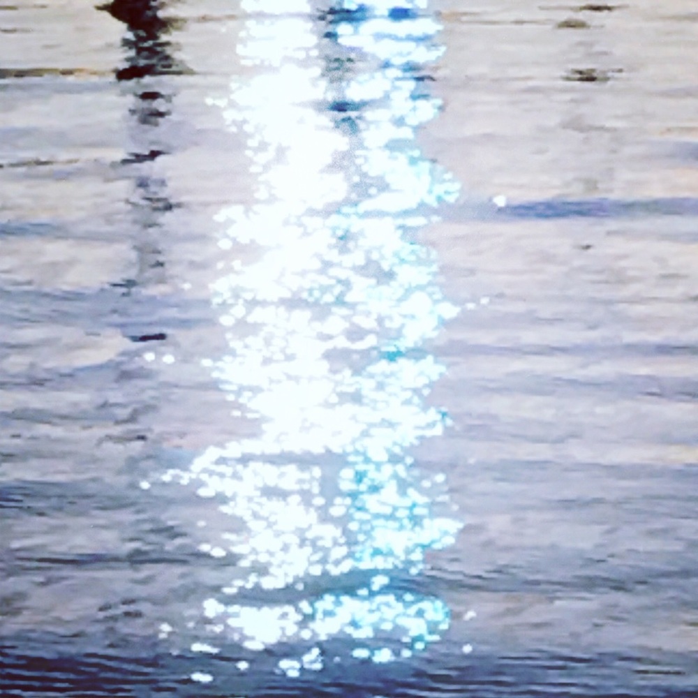 Meet your Posher, Pj