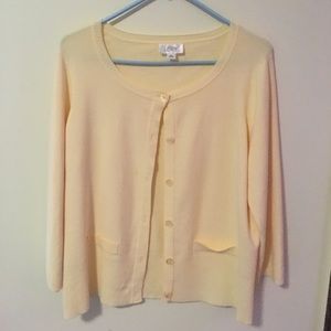 Ann Taylor Loft two piece cardigan