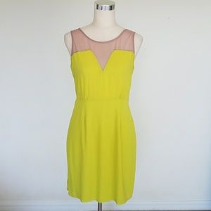 Striking Dress With Contrast Mesh Detail