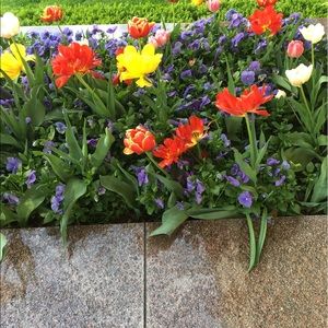 Meet your Posher, Suzanne