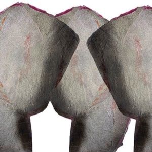 Meet your Posher, Nichole