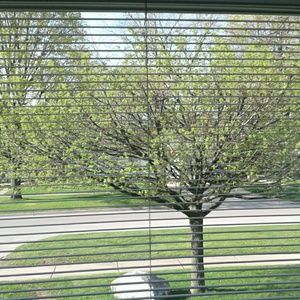 Meet your Posher, Ceiri