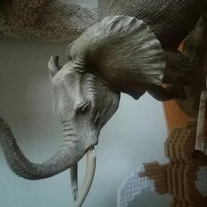 Meet your Posher, Martin