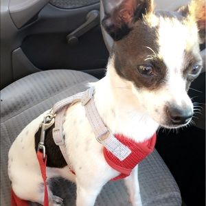 Meet your Posher, Bianca