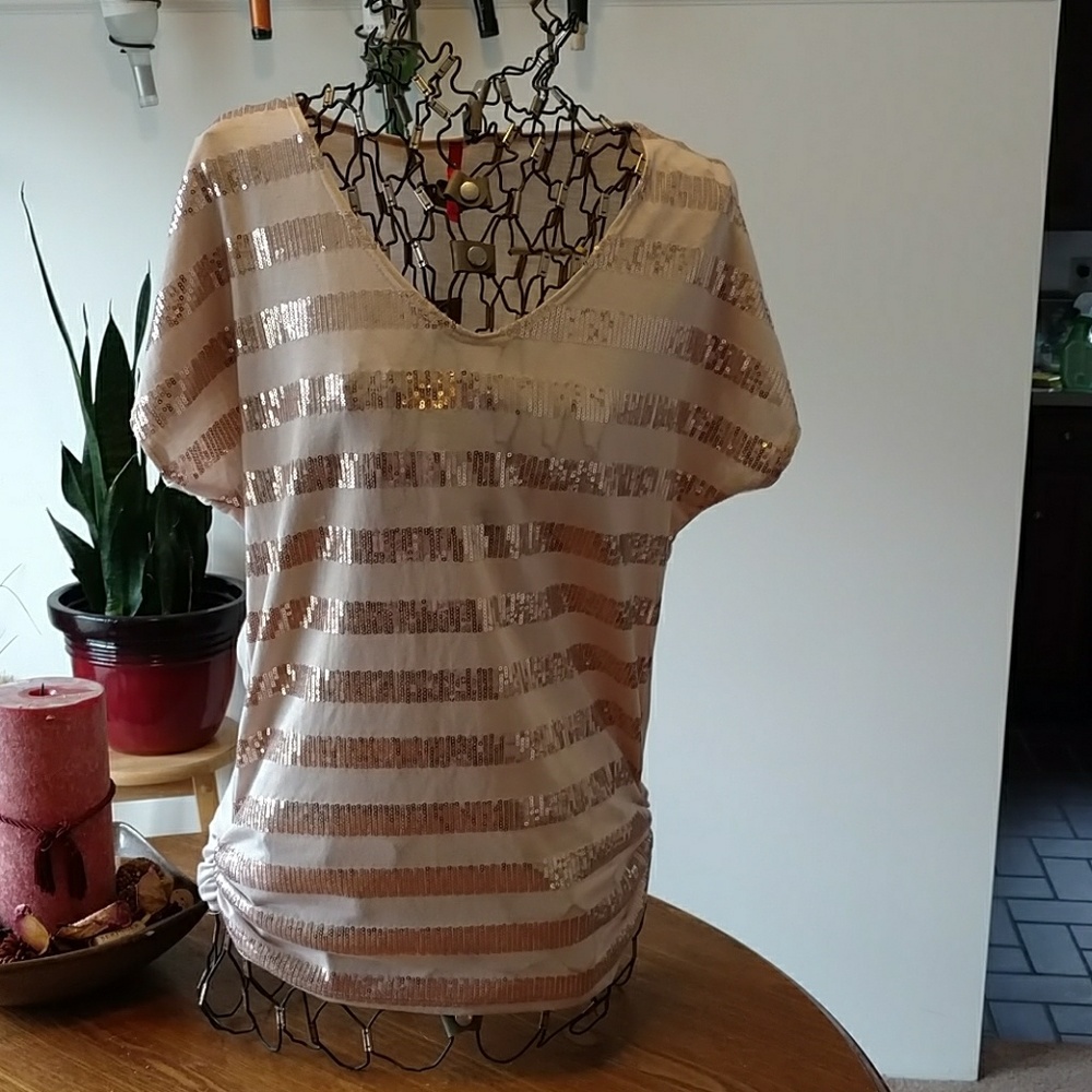 Beige/copper sequence top