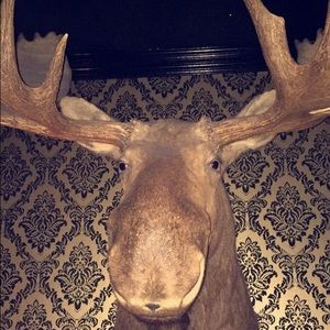 Meet your Posher, Mike