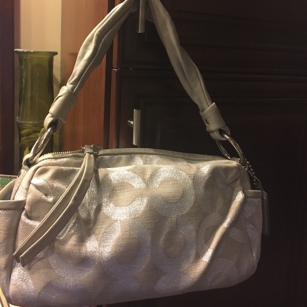 Coach bag (silver)