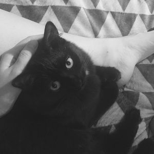 Meet your Posher, Amber