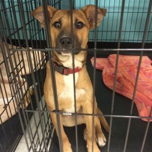 Meet your Posher, Meredith