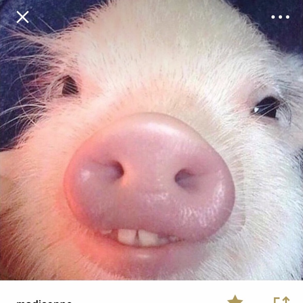 Meet your Posher, Kathlyn