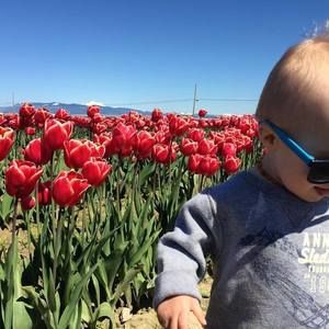 Meet your Posher, Ashley