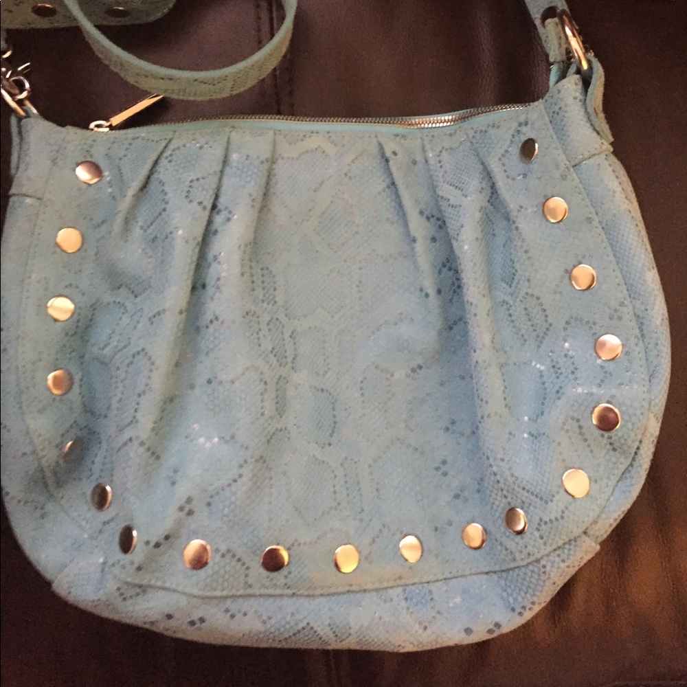 Hammitt blue snakeskin purse
