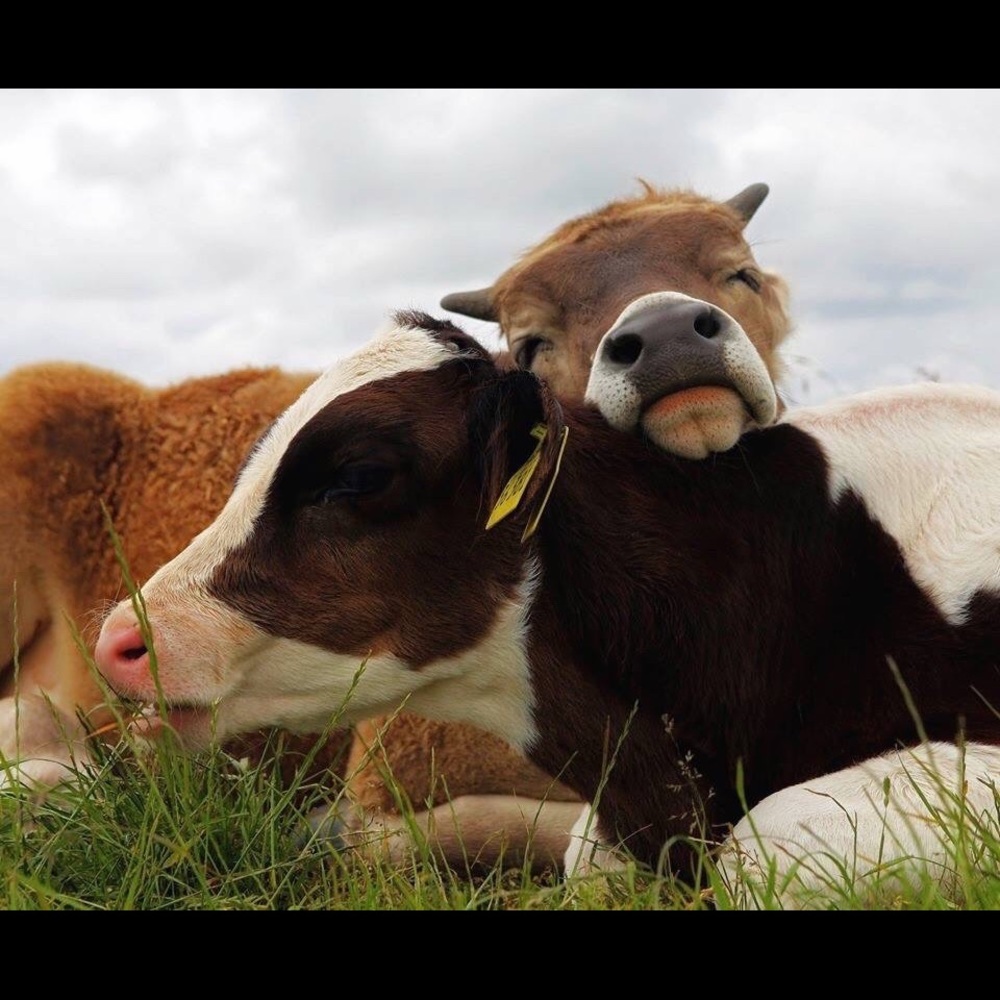 Meet your Posher, Jen