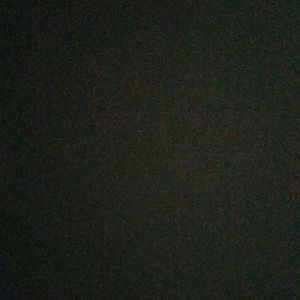 Meet your Posher, Whitney