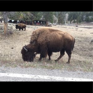 Meet your Posher, Nick