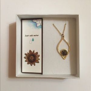 24k Gold Plated Teardrop Pendant Necklace