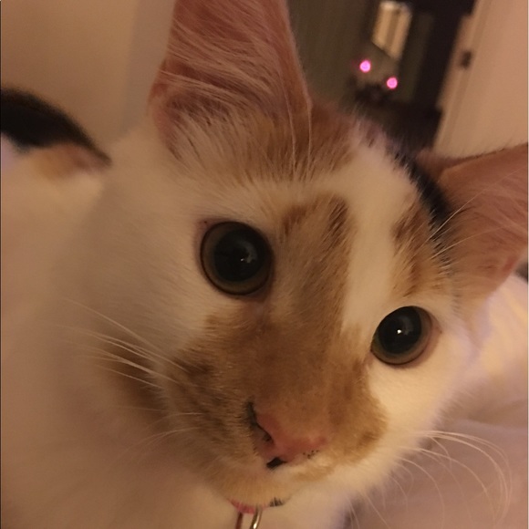 Meet your Posher, Maria - Picture 2 of 4