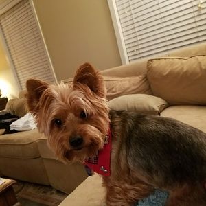 Meet your Posher, Deb