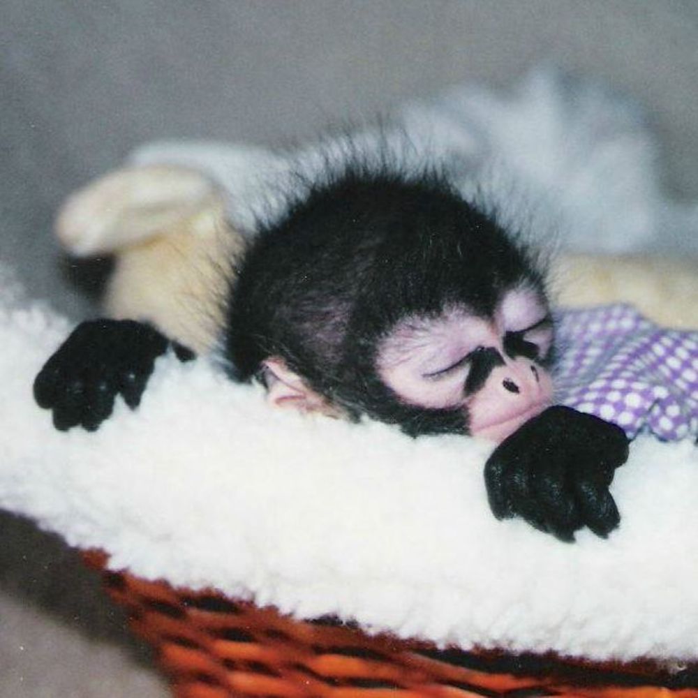 Meet your Posher, Carolyn