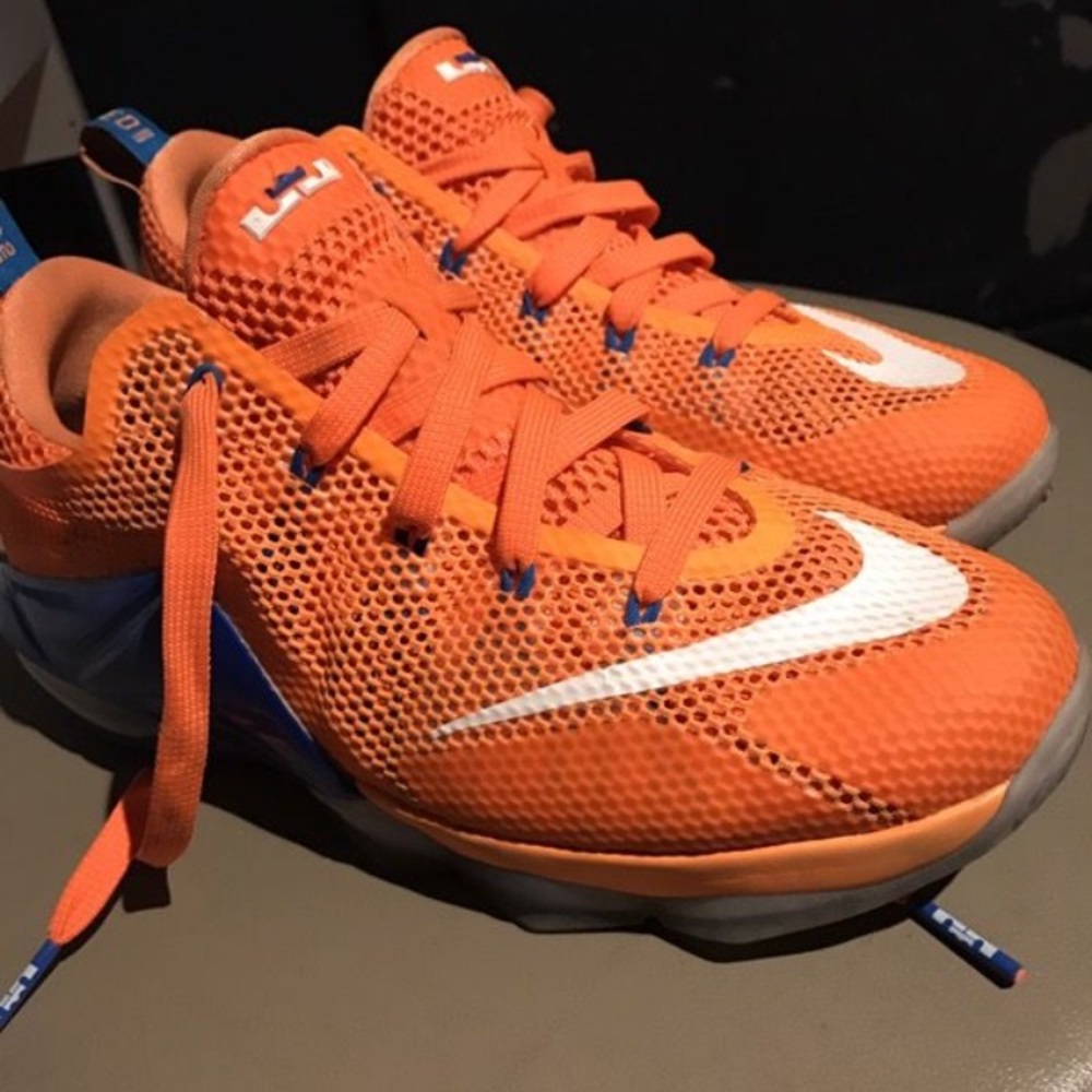 Lebron shoes