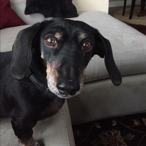 Meet your Posher, Nancy