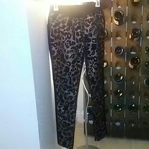 Final Price! Boston Proper Golden animal Legging