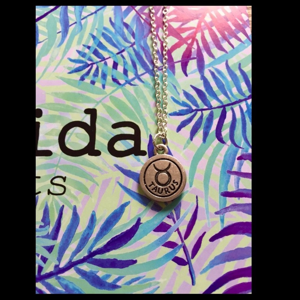 Taurus Silver Necklace