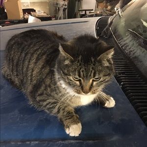 Meet your Posher, Chad