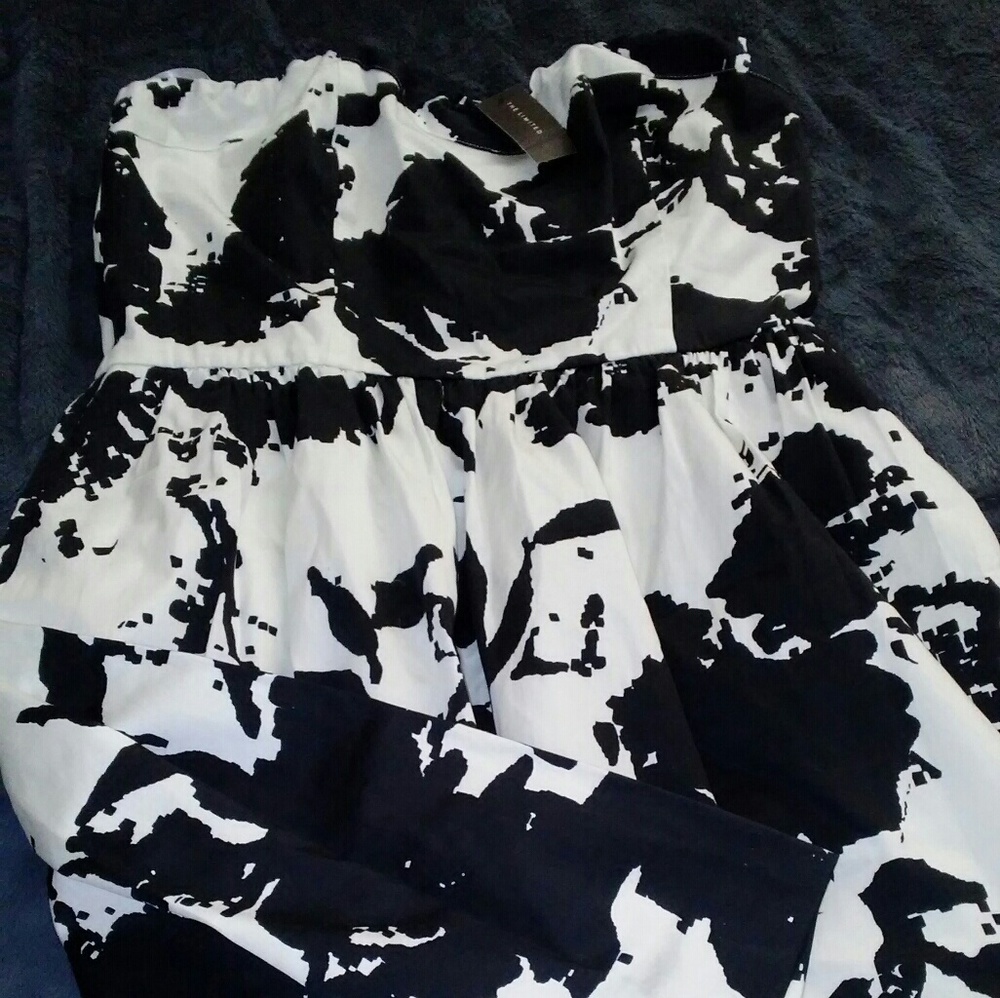 LIMITED DRESS NWT