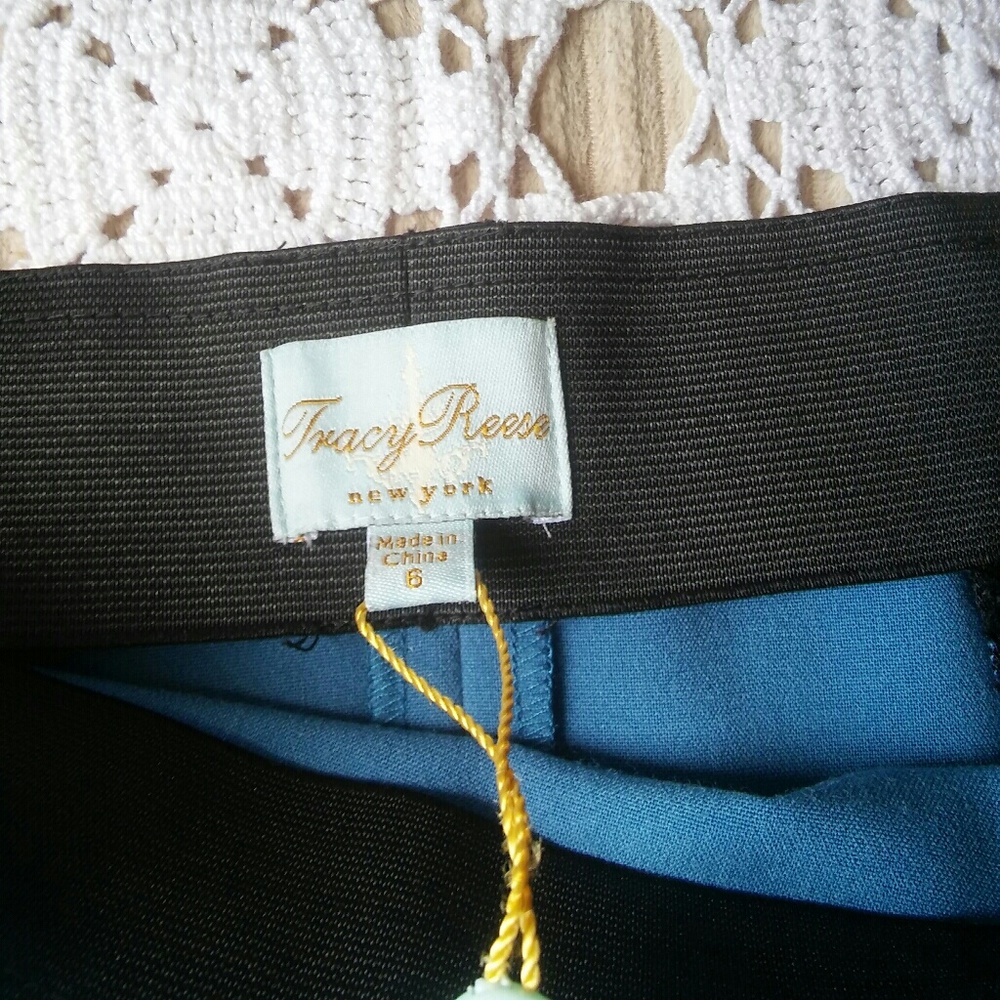 Tracy Reese High Waisted Skirt ~ 6