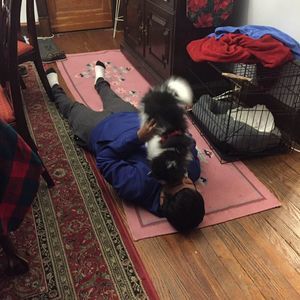 Meet your Posher, Alex