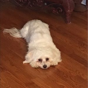 Meet your Posher, Panatda