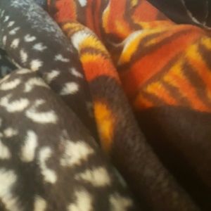 Meet your Posher, Amber