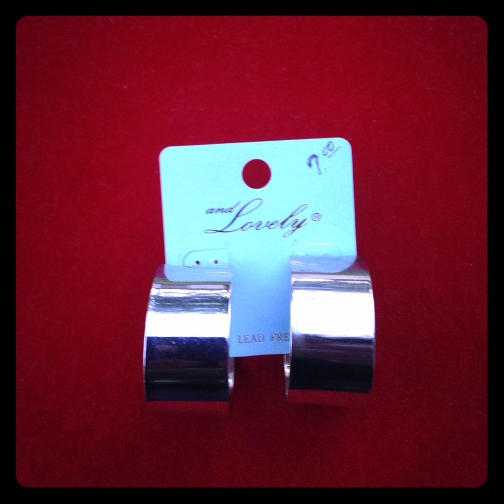 Silver Hoop Earrings