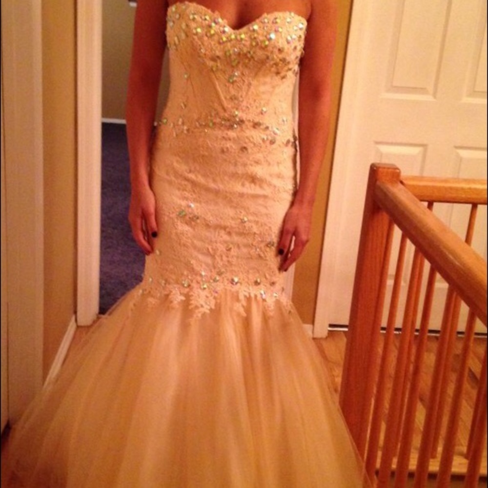 Gorgeous champagne mermaid dress. Only worn once !