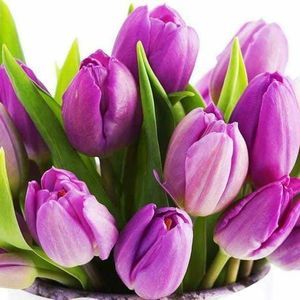 Meet your Posher, Emerenciana