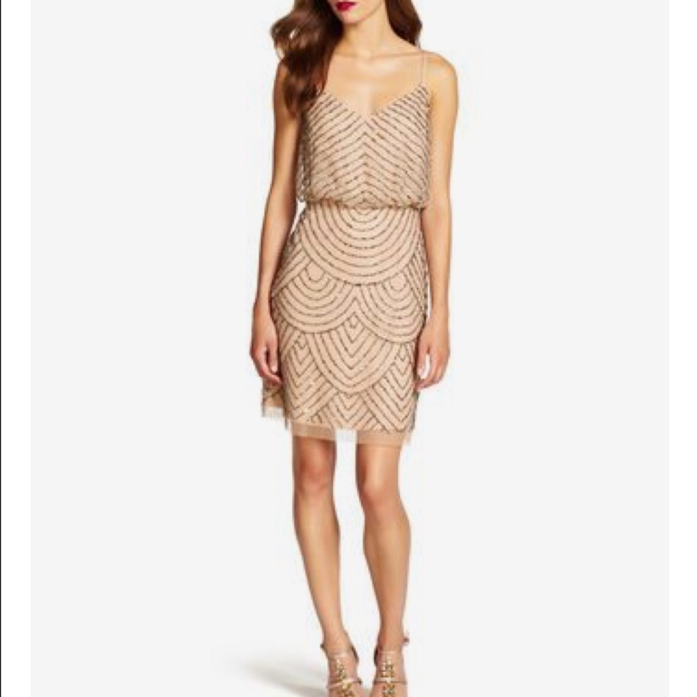 🌺🌸Adrianna Papell Blouson Dress