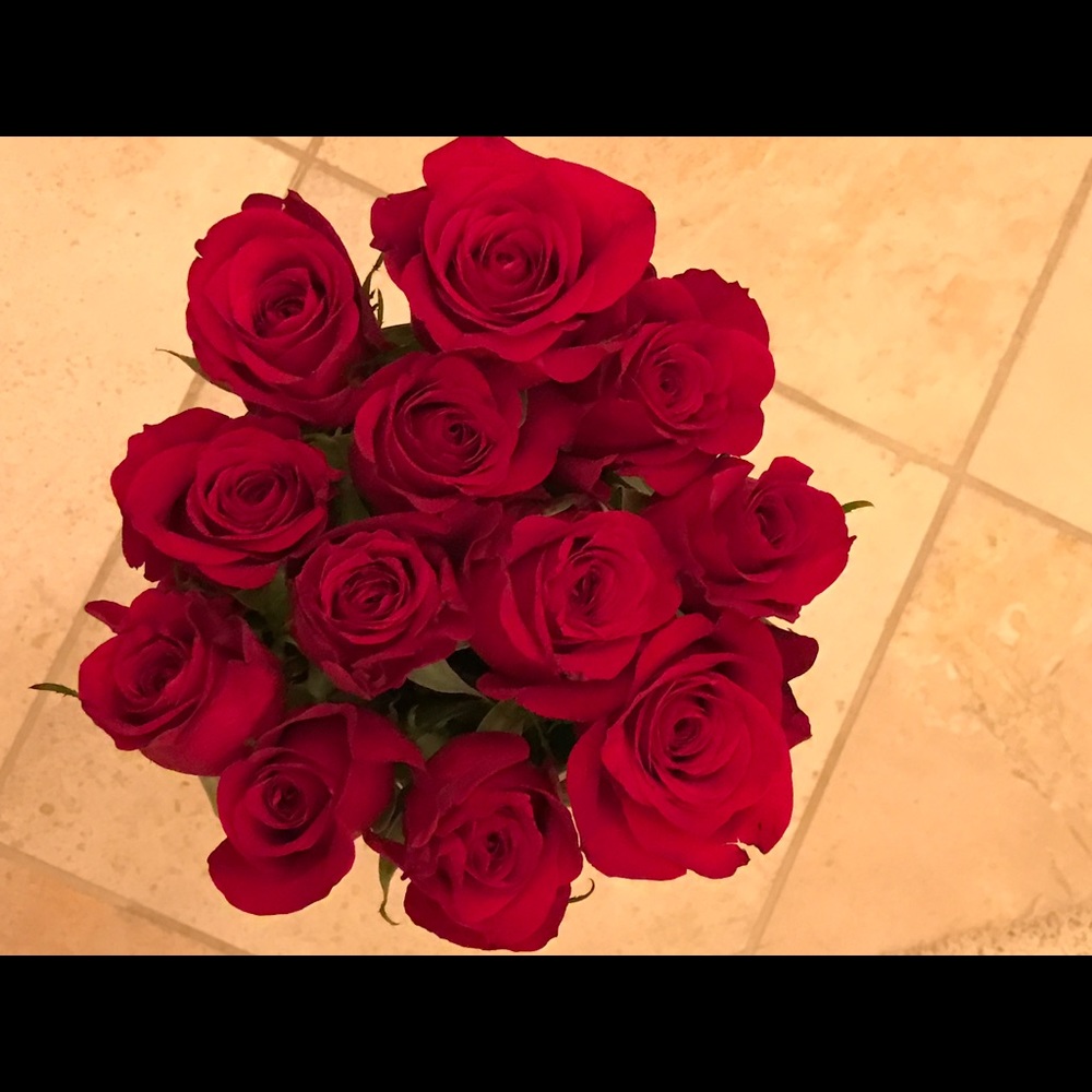 Meet your Posher, Sayeh