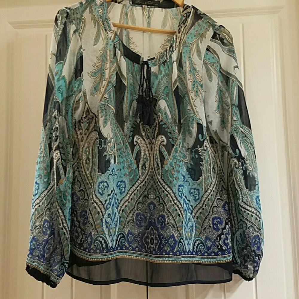 Sheer Blouse