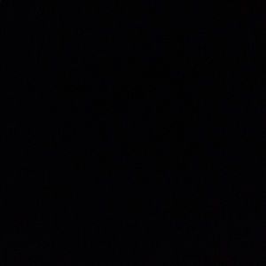 Meet your Posher, Gregory