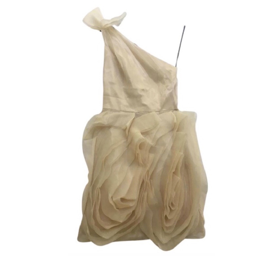 Vera Wang Organza Dress